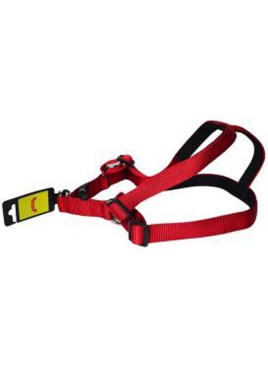 Glenand Harness 1 Inch Red 